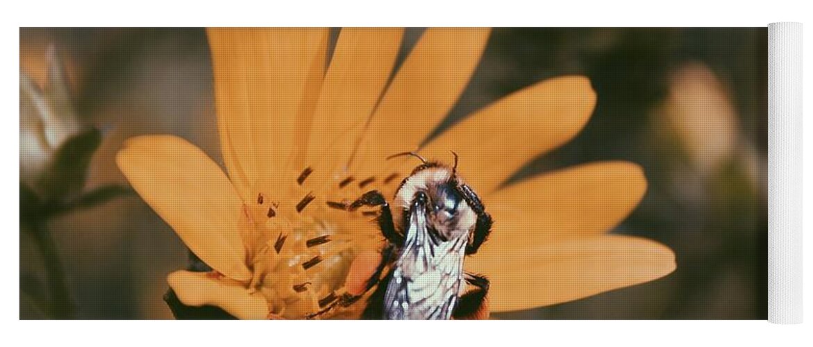 Photo Yoga Mat featuring the photograph Bee #1 by Noah Mahlon