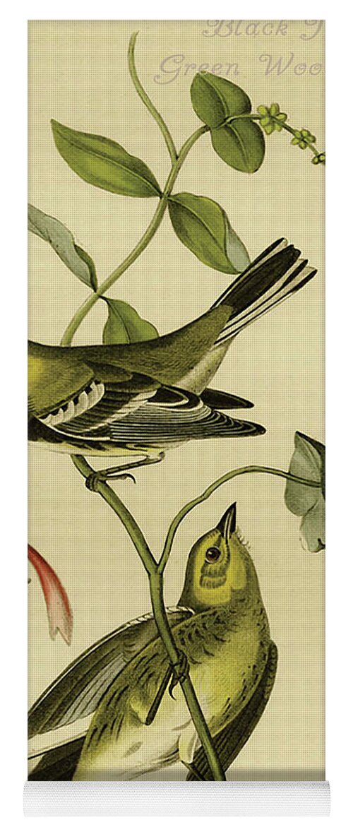 Birds Yoga Mat featuring the painting Black Throated Green Wood Warbler #1 by John James Audubon