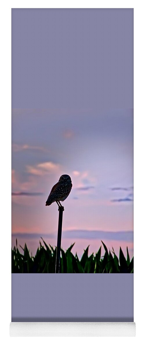 Arizona Yoga Mat featuring the photograph Burrowing Owl on a Stick by Judy Kennedy