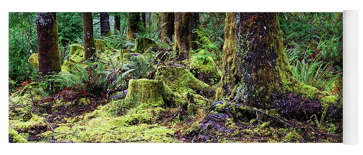 Close Up Yoga Mat featuring the photograph Forest Understory Yellow Green Moss by Robert C Paulson Jr