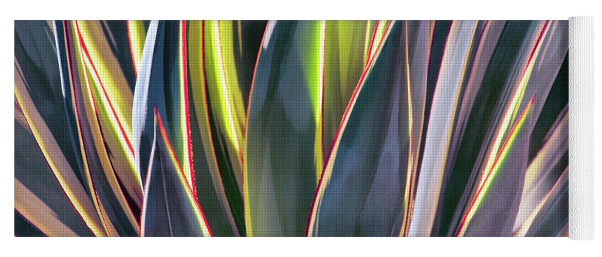 Agave Yoga Mat featuring the photograph Edged in Light by Leda Robertson