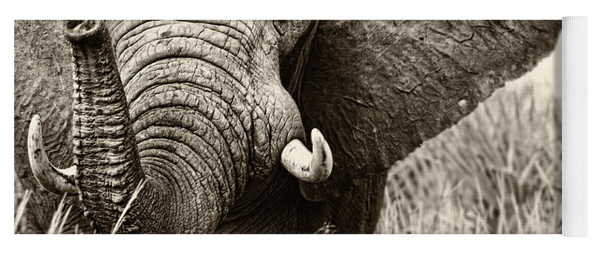 Estock Yoga Mat featuring the digital art Elephant #1 by Andrew Stewart