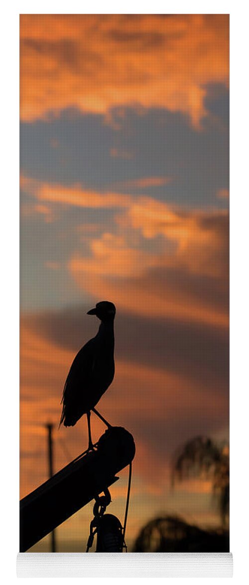 Great Blue Heron Yoga Mat featuring the photograph Florida Sunset #1 by Linda Kerkau