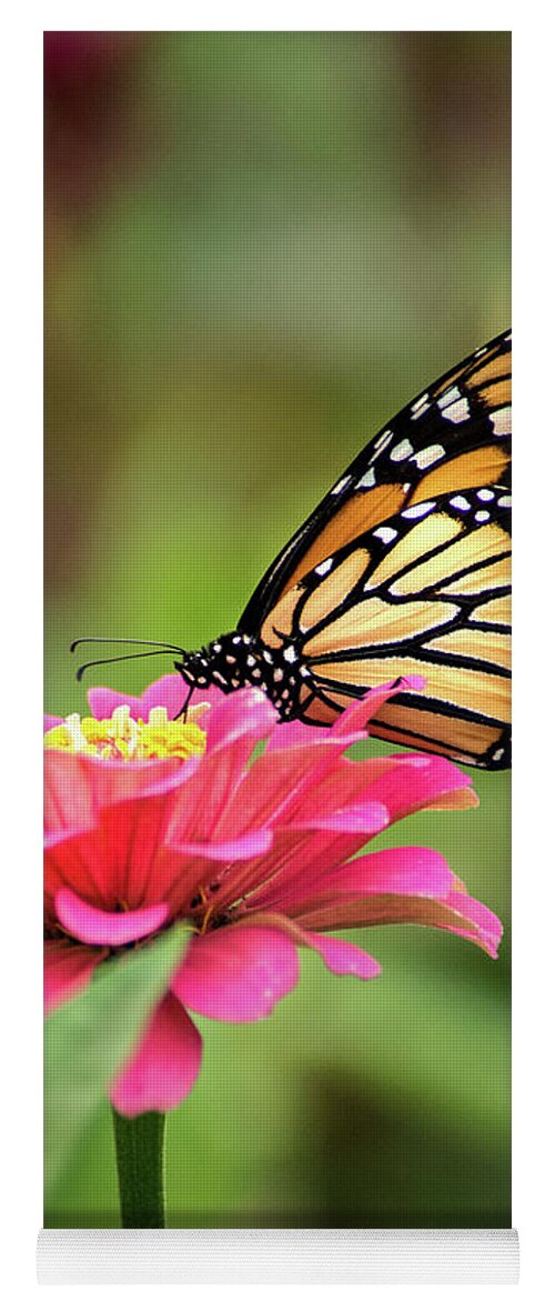 Nature Yoga Mat featuring the photograph Flutterby #1 by Don Johnson