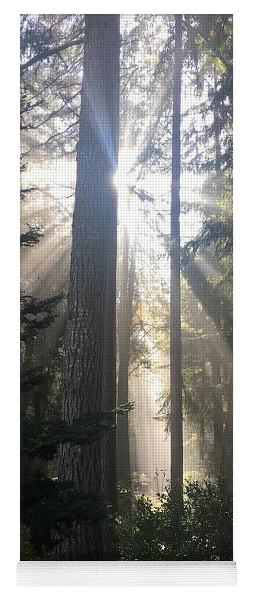 Forest Yoga Mat featuring the photograph Forest Sunlight #1 by Jerry Abbott
