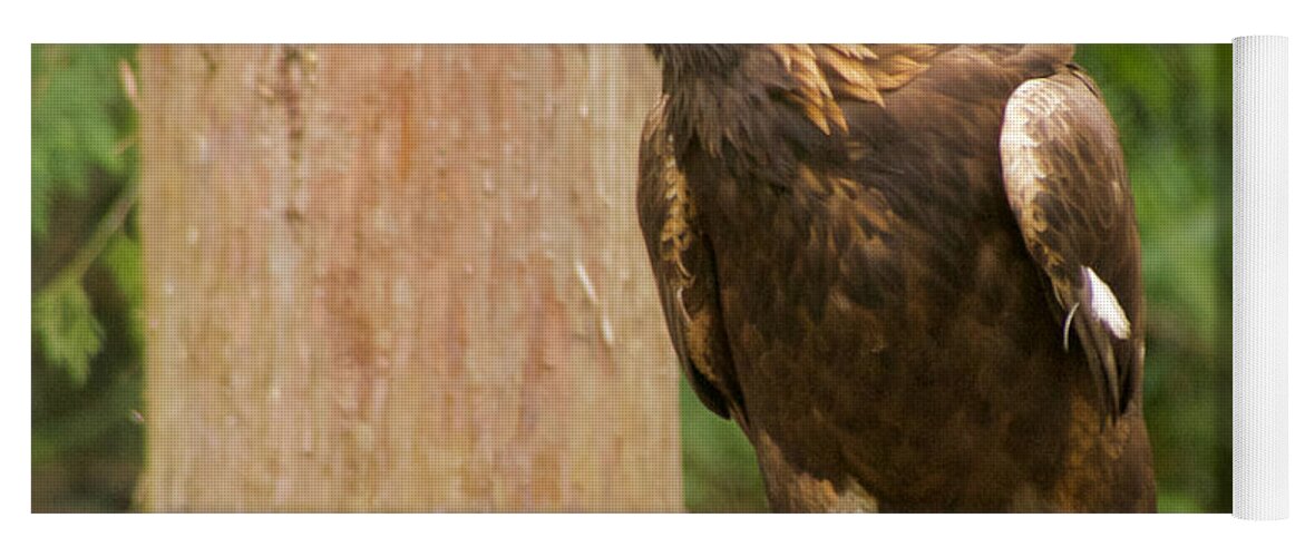 Photography Yoga Mat featuring the photograph Golden Eagle #4 by Sean Griffin