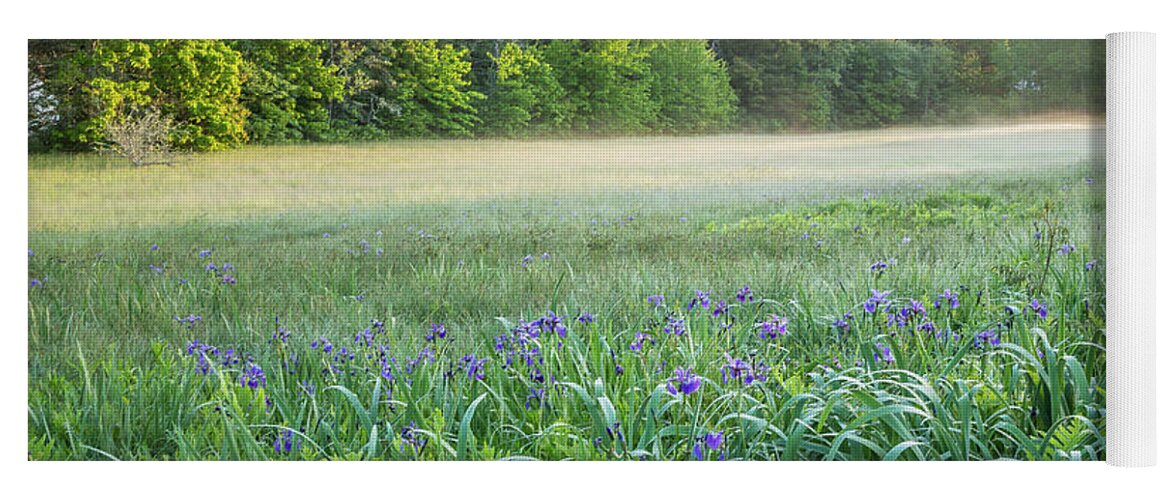 America Yoga Mat featuring the photograph Iris Meadow 2 #2 by Susan Cole Kelly