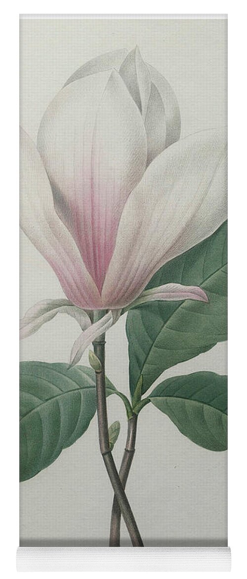 Redoute Yoga Mat featuring the painting Magnolia soulangiana #1 by Pierre-Joseph Redoute