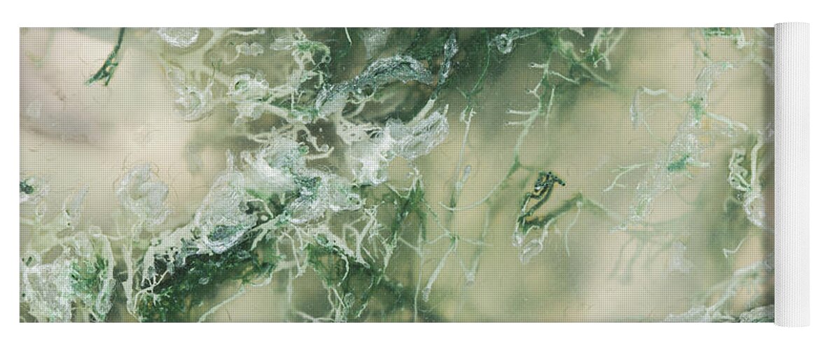 Abstract Yoga Mat featuring the photograph Moss Agate Moss, Closeup #1 by Mark Windom