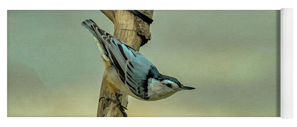 Songbird Yoga Mat featuring the photograph Nuthatch #1 by Cathy Kovarik