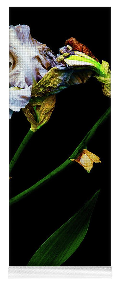 Fine Art Photography Yoga Mat featuring the photograph Penetrate the Magical by Cynthia Dickinson