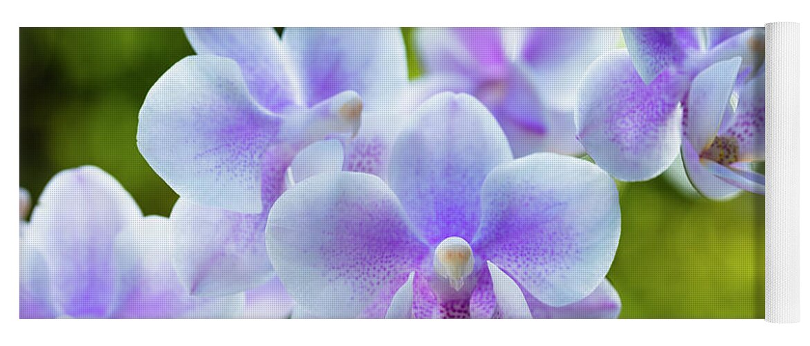 Background Yoga Mat featuring the photograph Purple Orchid Flowers #1 by Raul Rodriguez