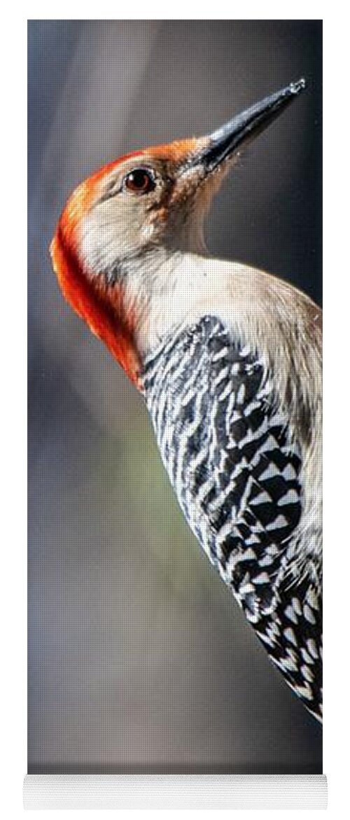 Red Bellied Woodpecker Yoga Mat featuring the photograph Red-Bellied Woodpecker #1 by Mary Ann Artz