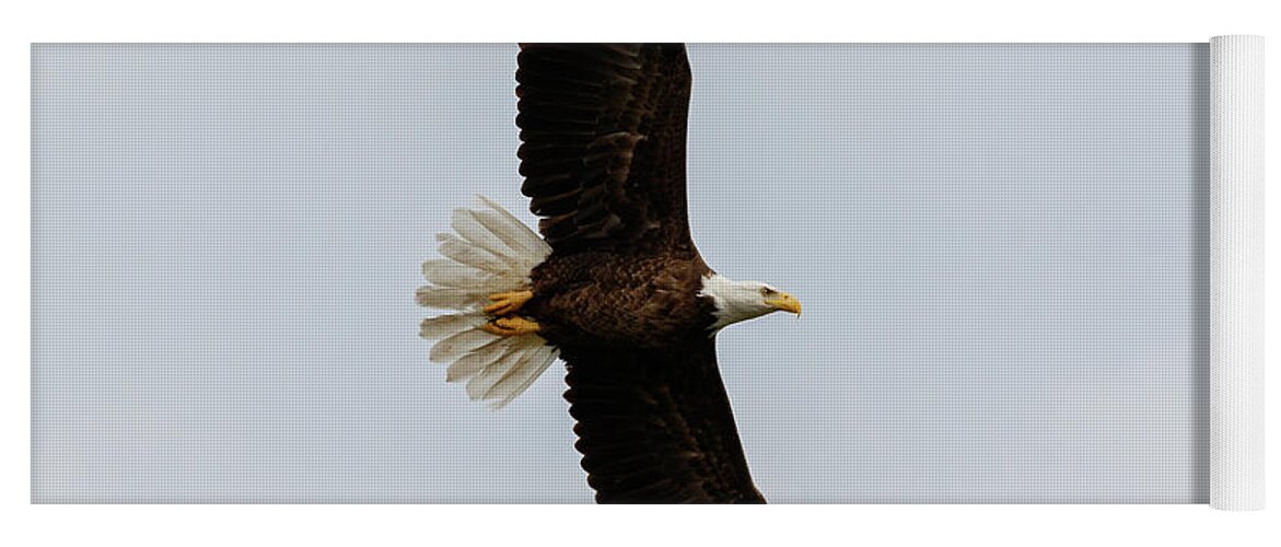 Eagle Yoga Mat featuring the photograph Stretching #1 by Les Greenwood