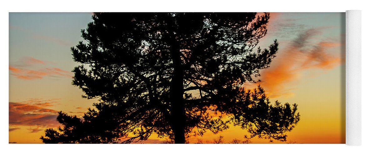 Tree Yoga Mat featuring the photograph Sunset Silhouette #2 by Cathy Kovarik