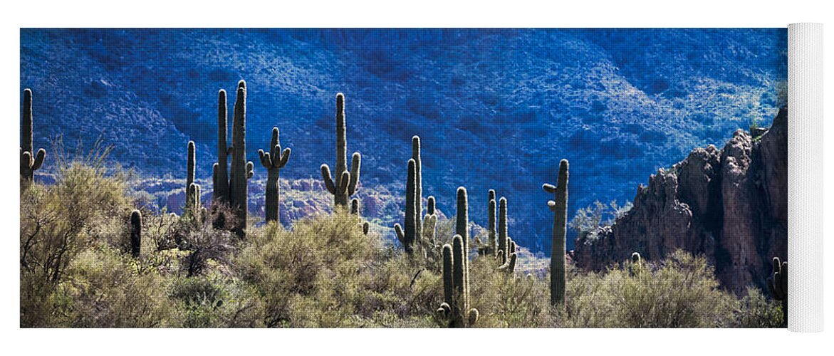 Saguaro Cactus Yoga Mat featuring the photograph The Sonoran Sentinels #1 by Saija Lehtonen