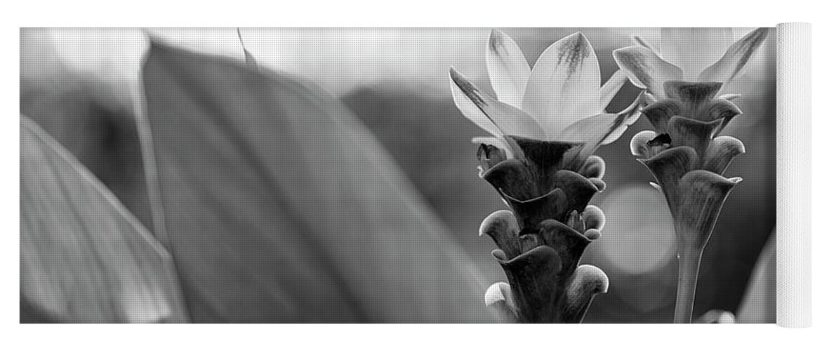 Background Yoga Mat featuring the photograph White Curcuma Flower #10 by Raul Rodriguez