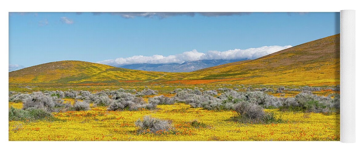Jeff Foott Yoga Mat featuring the photograph Antelope Valley Super Bloom #2 by Jeff Foott