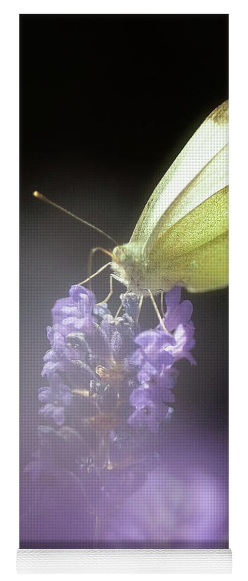 Macro Yoga Mat featuring the photograph Butterfly by Mariusz Talarek