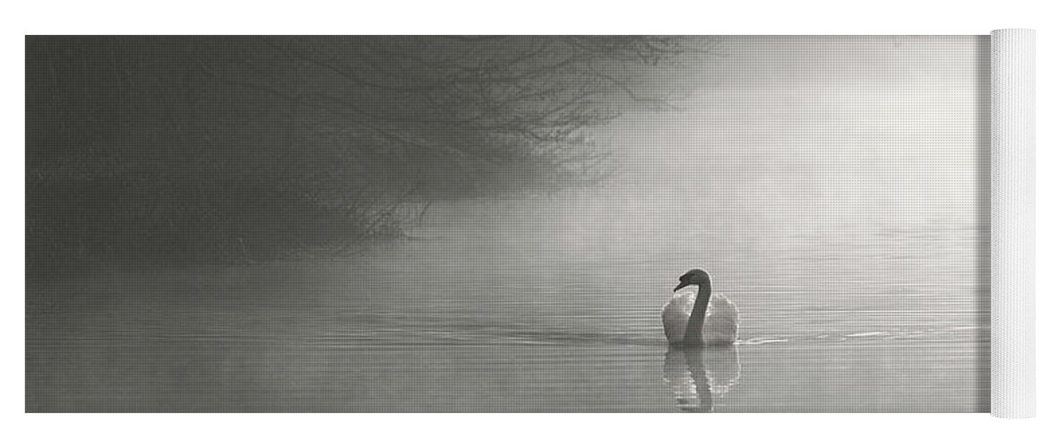 Nature Yoga Mat featuring the photograph Dawn Swan #2 by Ian Merton