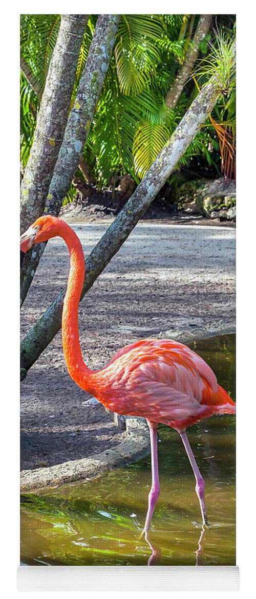 Estock Yoga Mat featuring the digital art Flamingo Gardens, Davie, Fl #2 by Lumiere