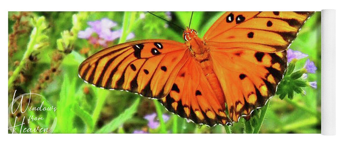 Butterfly Yoga Mat featuring the photograph Orange Butterfly #3 by Matthew Seufer