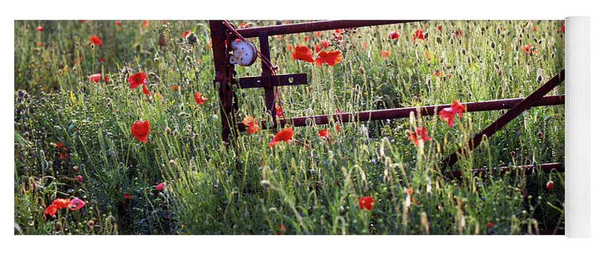 Britain Yoga Mat featuring the photograph Poppy field #2 by Seeables Visual Arts