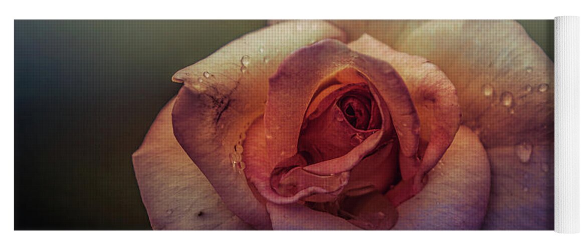 Rose Yoga Mat featuring the photograph Rose of Summer #2 by Allin Sorenson