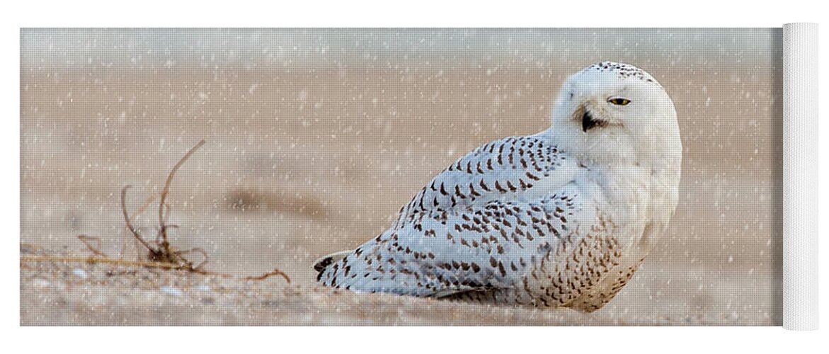 Owl Yoga Mat featuring the photograph Snowy Owl by Cathy Kovarik