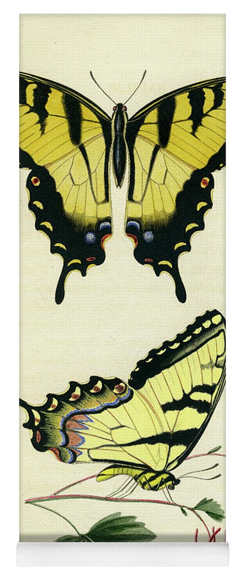 Entomology Yoga Mat featuring the photograph Butterflies by Unknown