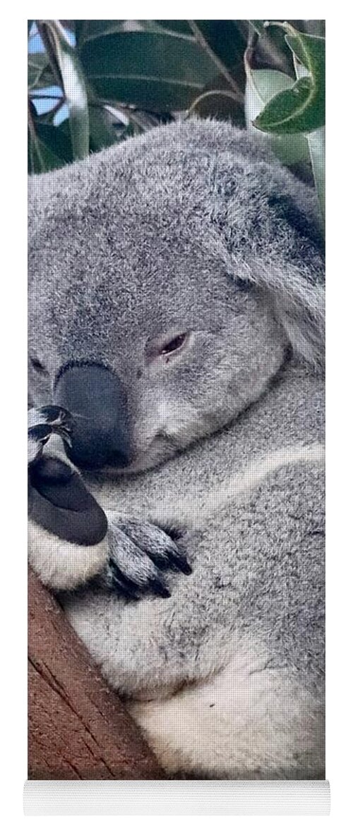 Koala Yoga Mat featuring the photograph Koala #4 by Sarah Lilja