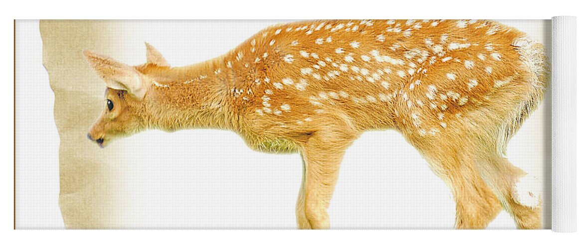 Fawn Yoga Mat featuring the photograph Whitetailed Deer Fawn #4 by A Macarthur Gurmankin