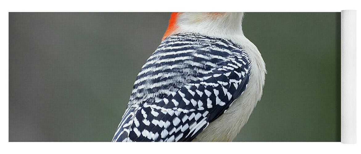 Male Red-bellied Woodpecker Yoga Mat featuring the photograph Male Red-bellied Woodpecker #6 by Diane Giurco