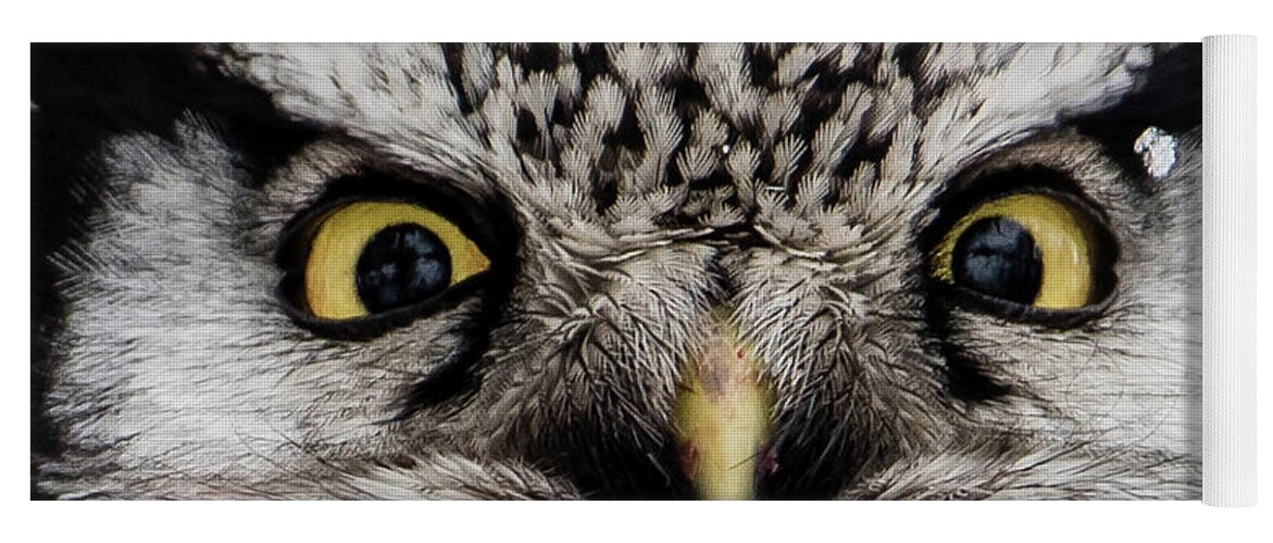 Northern Hawk Owl Yoga Mat featuring the photograph A closeup of The Northern Hawk Owl by Torbjorn Swenelius