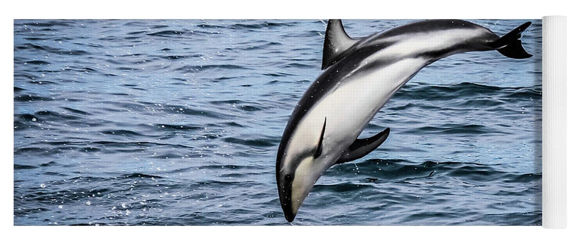 Dolphin Yoga Mat featuring the photograph A dusky dolphin by Lyl Dil Creations