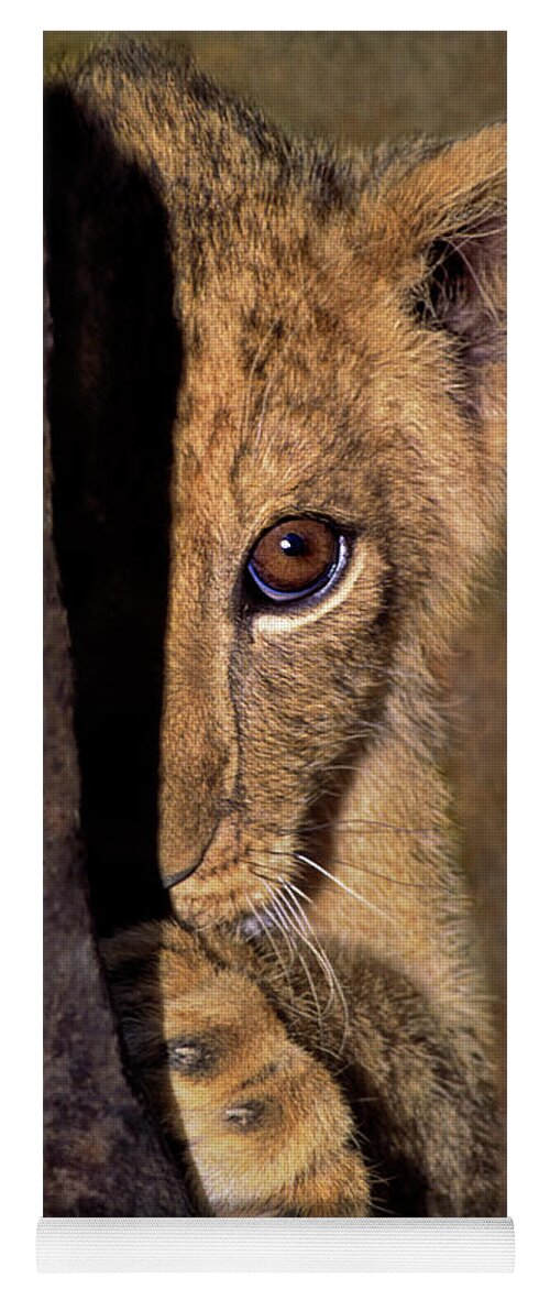 African Lion Yoga Mat featuring the photograph A Lion Cub Plays Hide and Seek Wildlife Rescue by Dave Welling