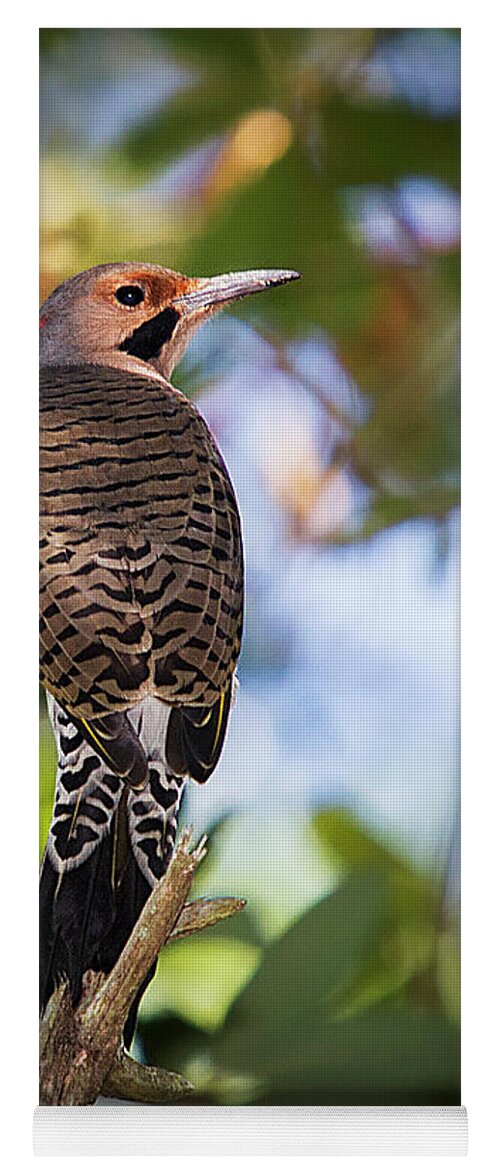 Northern Flicker Yoga Mat featuring the photograph A Northern Flicker by Bob Decker