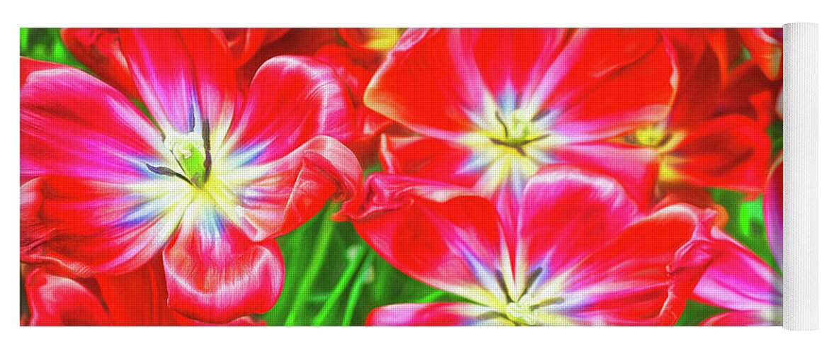 Tulips Yoga Mat featuring the photograph A Sea of Brilliant Red Tulips by Sue Melvin