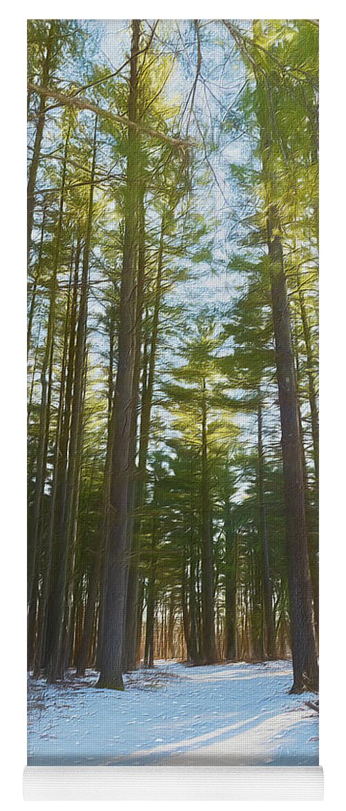Woods Yoga Mat featuring the photograph A Walk In Warm Winter Woods by Bill and Linda Tiepelman