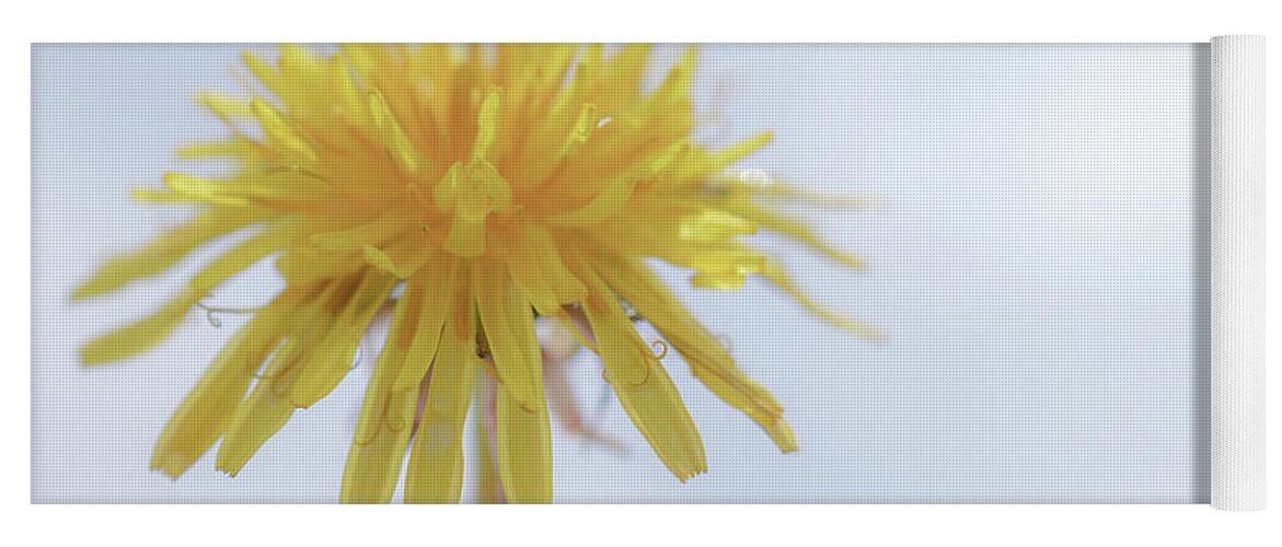Sunshine Yoga Mat featuring the photograph A wishing flower by Jennifer Wallace