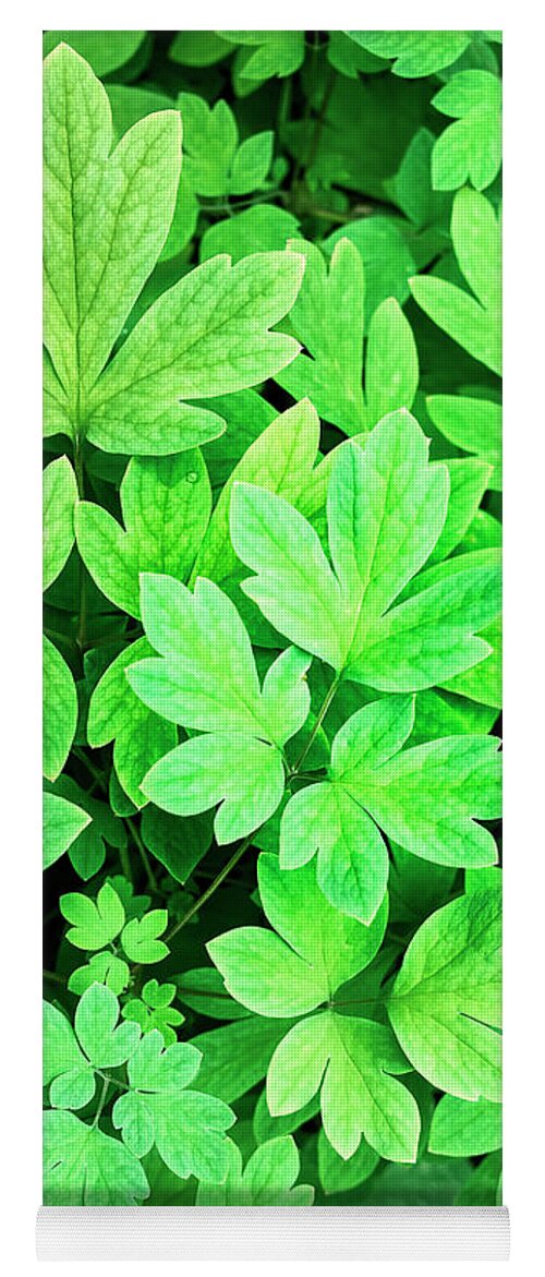 Leaves Yoga Mat featuring the photograph Abstract Leaves by Christina Rollo