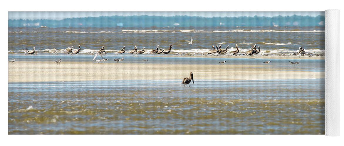 Brown Yoga Mat featuring the photograph Abstract Pelicans In Flight At The Beach Of Atlantic Ocean by Alex Grichenko