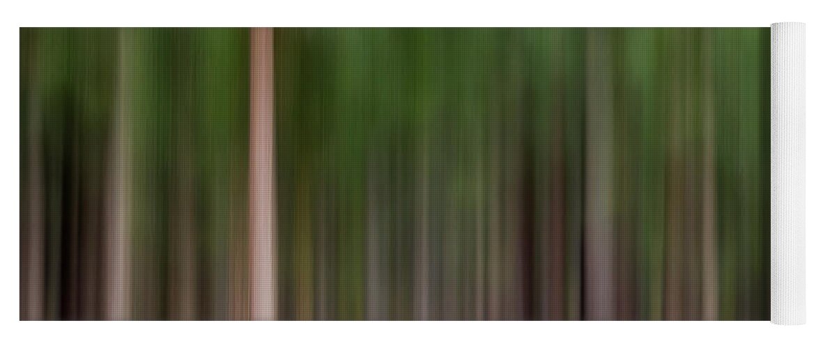 Sebastian Kennerknecht Yoga Mat featuring the photograph Abstract Pine Trees by Sebastian Kennerknecht