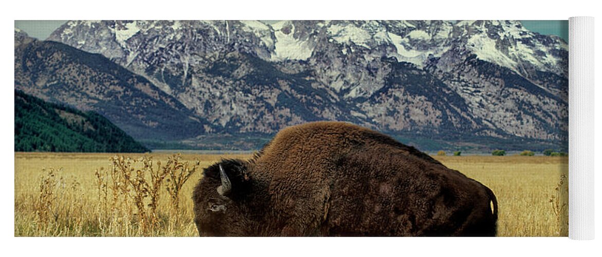 Dave Welling Yoga Mat featuring the photograph Adult Bison Bison Bison Wild Wyoming by Dave Welling