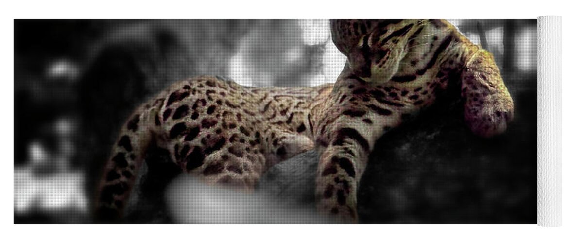 Jaguar Yoga Mat featuring the photograph Afternoon Rest by Pheasant Run Gallery