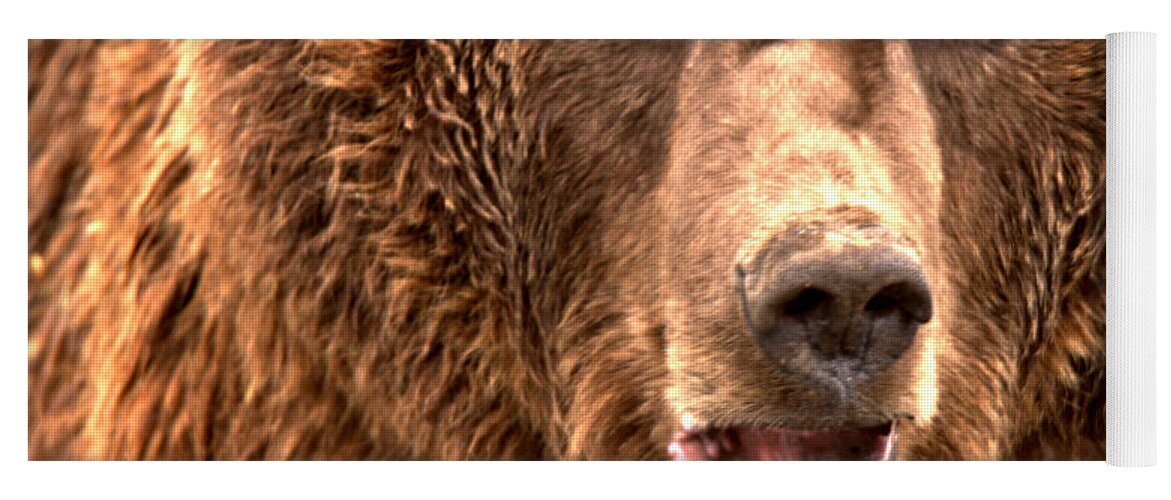 Brown Bear Yoga Mat featuring the photograph Alaskan Grizzly Closeup by Adam Jewell