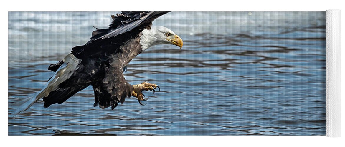 Eagle Yoga Mat featuring the photograph Almost Got it by Laura Hedien