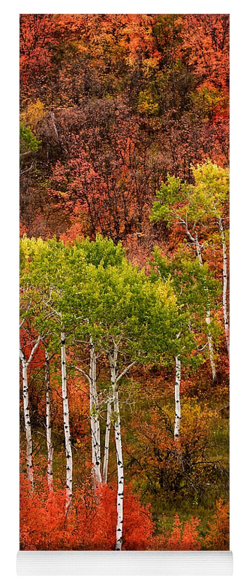 Fall Yoga Mat featuring the photograph Alpine, Wyoming Fall by Ed Broberg