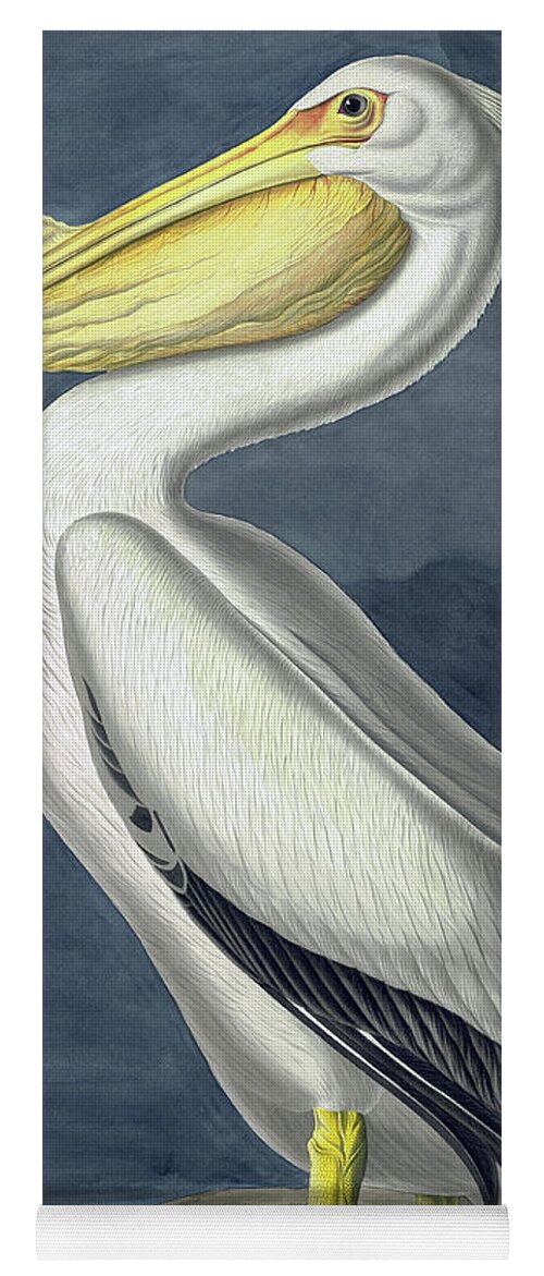 Pelican Yoga Mat featuring the painting American White Pelican, Pelecanus Erythrorhynchos by John James Audubon by John James Audubon