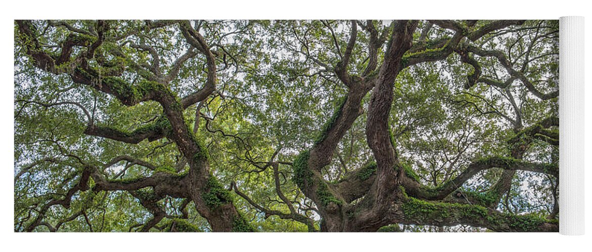 Angel Oak Tree Yoga Mat featuring the photograph Angel Limbs - Johns Island by Dale Powell